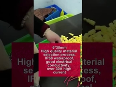 Soporte de caja de fusibles de arnés de cable amarillo impermeable 30A 250V 5*20mm 6*30mm tubo de cerámica de vidrio