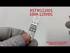 Fusiles para vehículos de cerámica 100A 125VDC 20KA Capacidad de ruptura FUSOS