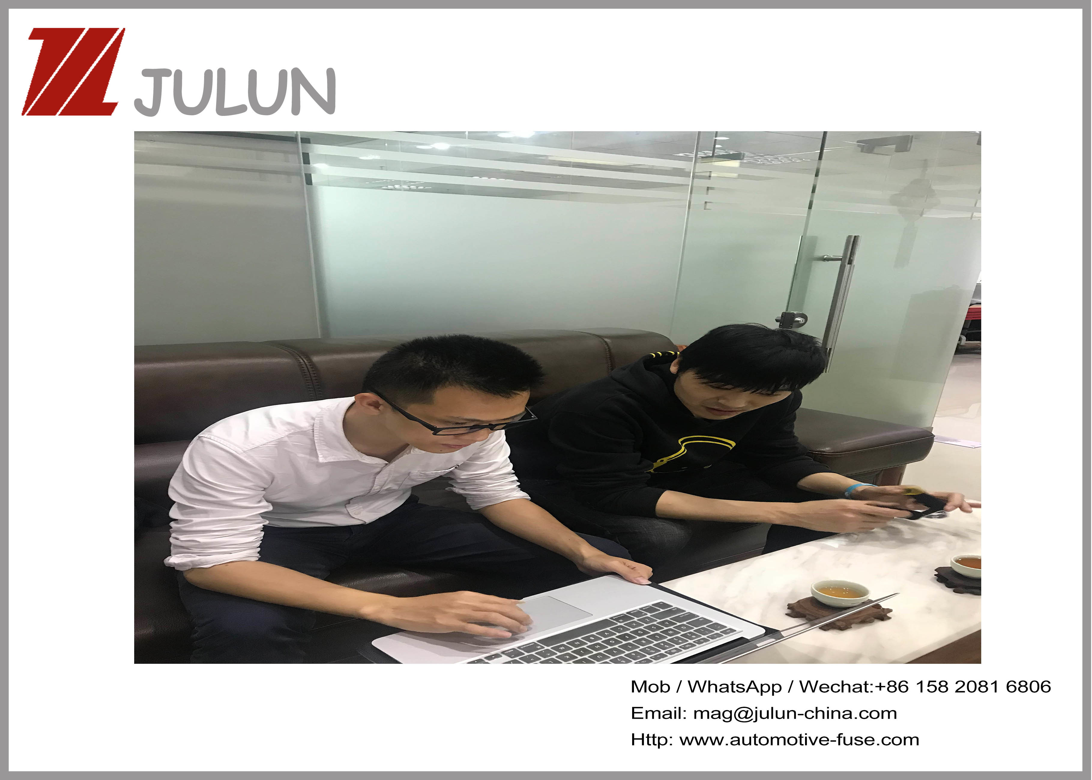 China dongguan Julun  electronics co.,ltd Perfil de la compañía