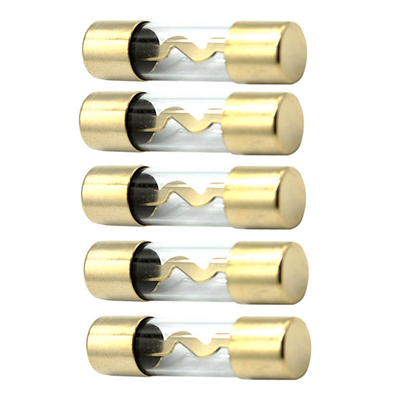 5 fusible de la instalación AGU 60A para el tubo modificado audio para el automóvil del tubo del seguro