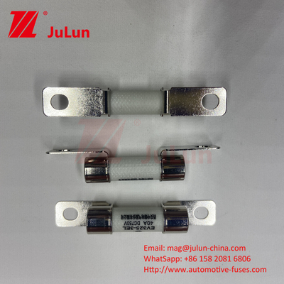 Protección EV de vehículos eléctricos Conversión de potencia del fusible 15A 30A 25A 750VDC 10x38 EV FUSE