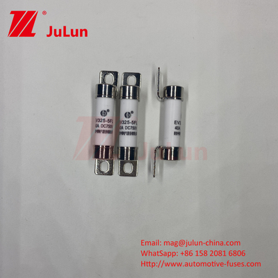 Fusiles de vehículos eléctricos con pernoctado Conjunto compatible Almacenamiento de energía EV Fusiles 40A Características Construcción con pernoctado específicamente