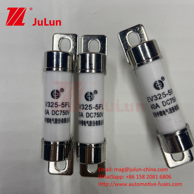 Cargador de baterías para automóviles para vehículos eléctricos Conversión de potencia certificada ISO 15A 30A 25A 750VDC 14x51 50A EV FUSE