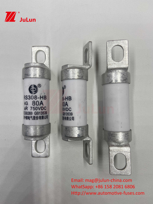 Fuse para vehículos eléctricos de vehículos eléctricos para DC750V Fuse DC750V 10A 15A 20A 25A 30A para aplicaciones automotrices RS308