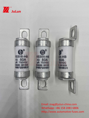 Fusiles EV 100A Características Construcción atornillada Específicamente 750VDC 10A 25A 50A 63A