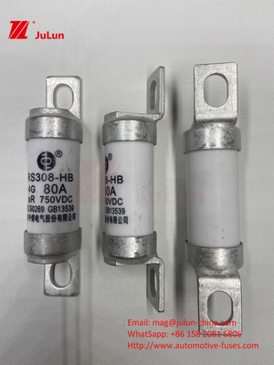 Fusiles EV 100A Características Construcción atornillada Específicamente 750VDC 10A 25A 50A 63A