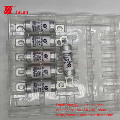 Fusiles para vehículos eléctricos RS308 DC750V 10A 15A 20A con excelente resistencia a las vibraciones 63A