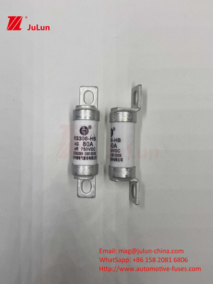 EV RS308 Fuso de choque mecánico 25A 30A 40A 50A Cobre de cerámica Voltado nominal DC750V Cargador de EV para el hogar para automóviles eléctricos