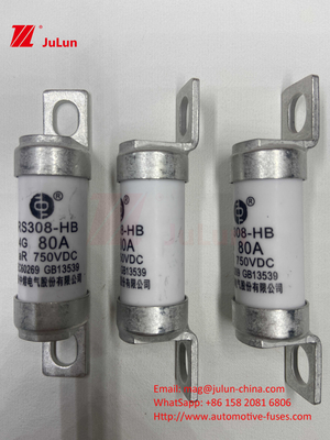 Conversión de potencia 63A 15A 30A 25A 100A 50A EV FUSEDC750V Voltagem nominal de vehículo eléctrico