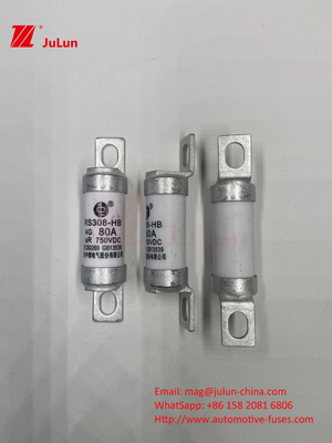 Fusiles de vehículos eléctricos para el almacenamiento de energía del sistema de tracción y olted 750VDC 25A 30A 40A 50A para RS308 HB EV