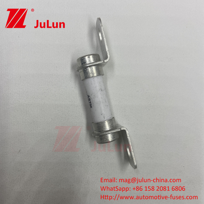 Fuseo para vehículos eléctricos 500VDC Cerrojo M6 Cerrojo 50A Excelente capacidad de rotura de corriente continua