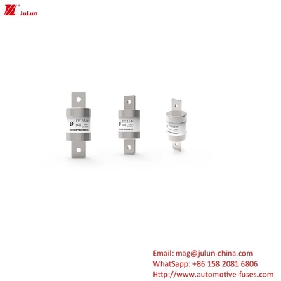 Medium Bolt On Electric Vehicle Fuse Carga rápida / Ev Dc Cargador rápido de 500V DC