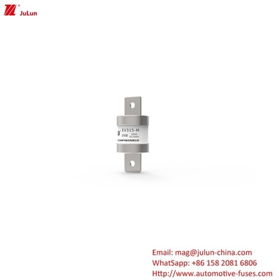 Medium Bolt On Electric Vehicle Fuse Carga rápida / Ev Dc Cargador rápido de 500V DC