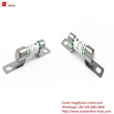 EV321-3EL 30A Fusiles para vehículos eléctricos con protección del logotipo OEM y rendimiento en el método de embalaje en caja