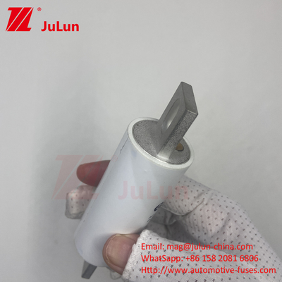 RS309-MM-EV300A de fusión media AC 1000VDC 1000VAC en sistemas eléctricos de alto voltaje para vehículos eléctricos