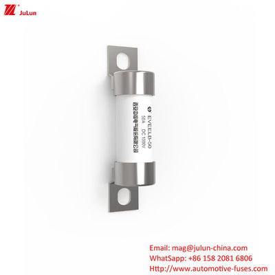 EVEELB-50A DC1000V Fusiles de conexión de tornillo de tubo redondo
