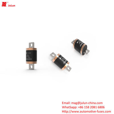 EV8 DC500V 150A 600A 700A 750A 800A 900A 1000A Fuentes para vehículos de carretera