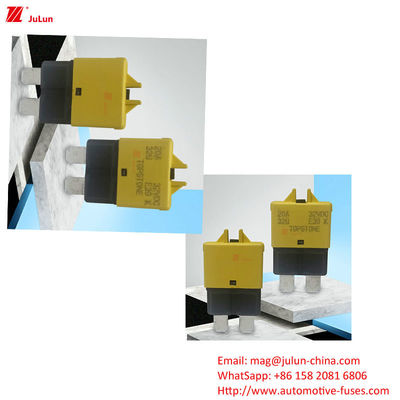 ANS MIDI MIDI protector del fusible Cerrojo El cerrojo reinicia automáticamente el interruptor de circuito para los protectores del fusible del automóvil con 30A a