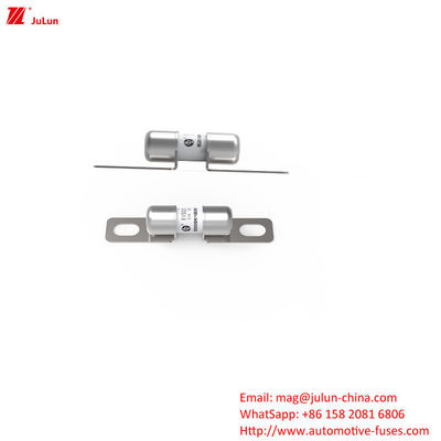 Fusiles portátiles para cargadores de vehículos eléctricos de 50A DC250V con fusión media