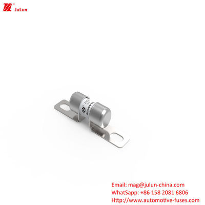 Fusiles portátiles para cargadores de vehículos eléctricos de 50A DC250V con fusión media