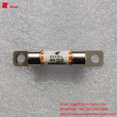 Adaptador de cargador de vehículos eléctricos Fuse compatible con 10A-60A Carga de vehículos eléctricos Carga rápida