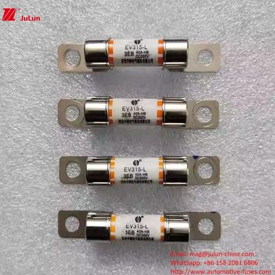EV315L 3E Protección de vehículos eléctricos con fusibles para automóviles Mediano 10A-60A DC500V