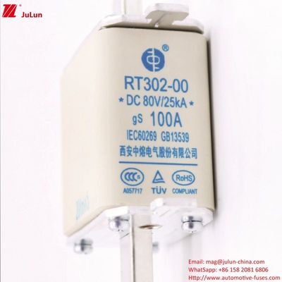 Protector portátil de vehículos eléctricos DC80V RT302-00 para la protección del sistema de alimentación