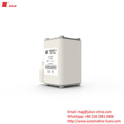Protección del sistema de energía eléctrica 160A-550A Adaptador de cargador AC EV Compatible