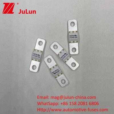 125 VDC Cargador de batería de automóviles Fuse A121601-300A Batería de almacenamiento de energía Motocicleta