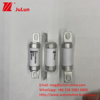 120A 700VDC EV EV1845 Control de temperatura ASTM Fusiles de tornillo para vehículos eléctricos