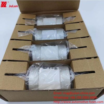Tipo de terminal 200-400A 750VDC Adaptador de cargador de fusible de energía AC Ev Compatible para barcos de motor