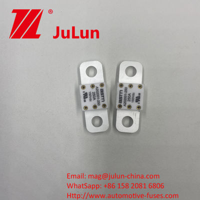 A202001-300A Fusiles cerámicos para automóviles de 150VDC adecuados para la conversión de potencia Voltado de salida 150VDC