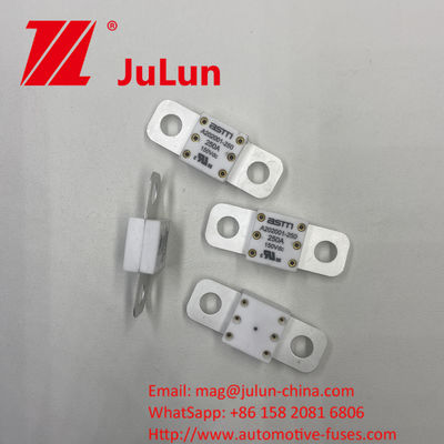 Almacenamiento de energía para automóviles A202001 150A 150VDC Conversión de potencia Aplicación Fusiles cerámicos para automóviles Nombrados a 150VDC 16-20KA 400A 500A