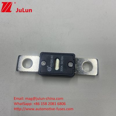 EV320-5C 175A 70VDC SINOFUSE Fusiles cerámicos para automóviles de pequeño tamaño