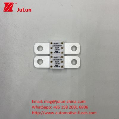 Los interruptores de circuito para vehículos A202008 100A 100VDC EV FUSE ASTM