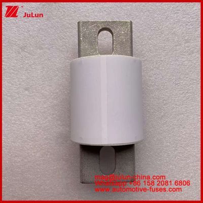 Sistemas de alimentación de energía de transmisión de energía de cerámica Fusiles automáticos RS309-MD 600A 500VAC 200KA 500VDC 50KA AR Vehículos eléctricos tubulares 30-800A