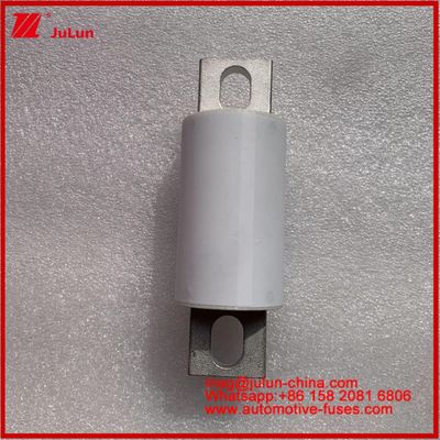 500A 400A RS309-MF EVE 750VDC ((UL) Vehículo de carretera Tubo cerámico Almacenamiento de energía Sistemas de energía Cargadores Cables Dispositivos y equipos de automóviles 20KA