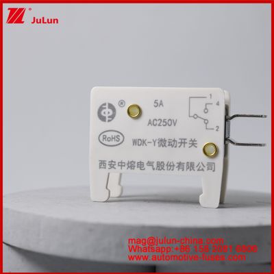 WDK-Y 5A 250V Micro Switch Fuse de montaje de automóviles para vehículos EV / HEV Base de fusibles especialmente diseñada para el vehículo Situación