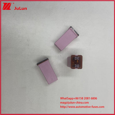 20A Auto de reinicio automático 32VDC 30A Nombrado 0895 40A Fuse de espalda baja Jcases Nombrado 58VDC Jcases en forma de caja de perfil bajo