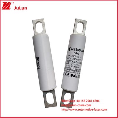 RS309-MF 60A DC750C Camiones pesados Carga de pila Coches eléctricos Autobuses eléctricos Camiones ligeros eléctricos Y fusible eléctrico