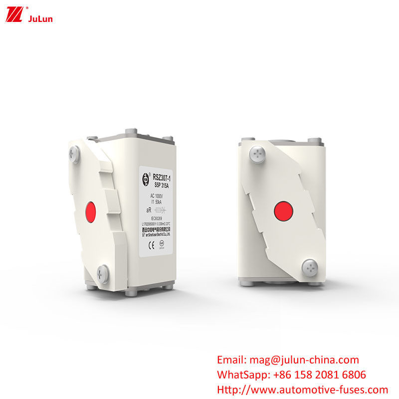 Protección del sistema de energía eléctrica 160A-550A Adaptador de cargador AC EV Compatible