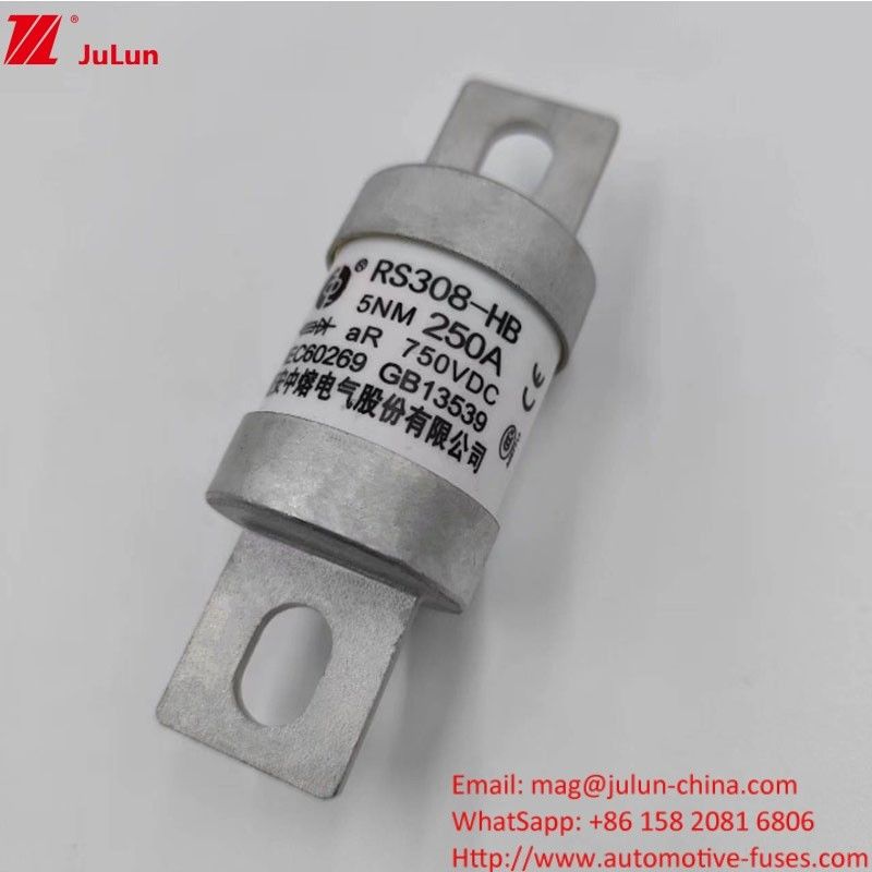 200A 250A 300A -400A Vehículo eléctrico tornillo de fusible M8 M6 Método de montaje Terminal Tipo de fusible de energía 750VDC