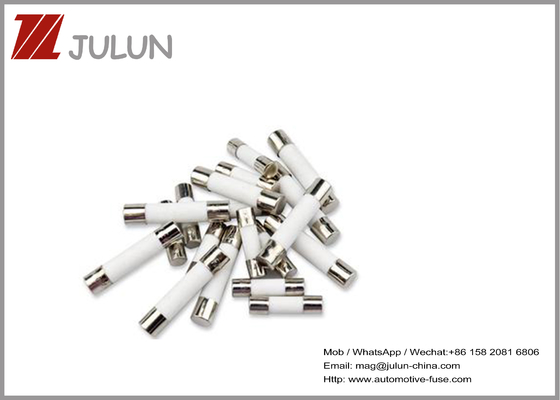 fusible de cerámica de la comunicación 15A 250V de los 5X20Mm para los hornos de microondas