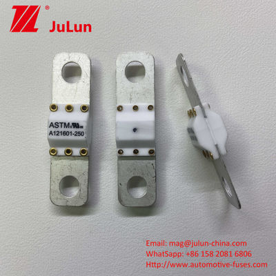 100A Cargador de vehículos eléctricos portátil Protección contra incendios Protección contra cortocircuito de alta ruptura