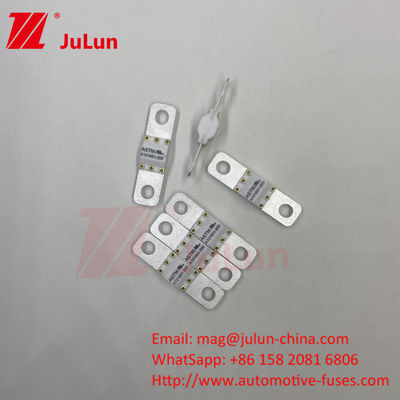 Fuse ASTM 125A 125VDC 10KA Capacidad de ruptura Fuse para vehículos eléctricos