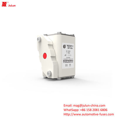 315A AC1000V Cargador de vehículos eléctricos portátil Fusiles para automóviles con alta capacidad de rotura