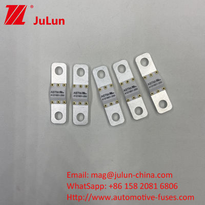 125 VDC Cargador de batería de automóviles Fuse A121601-300A Batería de almacenamiento de energía Motocicleta