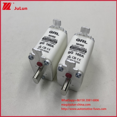 160A, 200A, 250A, 315A, 400A, NT000, NT00, NT0, NT1, NT2, NT3, NT4 Fusible de cuchilla y base de fusible 500V CA 10A~100A, 125A, 500A 630A