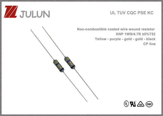 Resistor revestido no combustible 125V 250V de la herida del alambre para la fuente de alimentación
